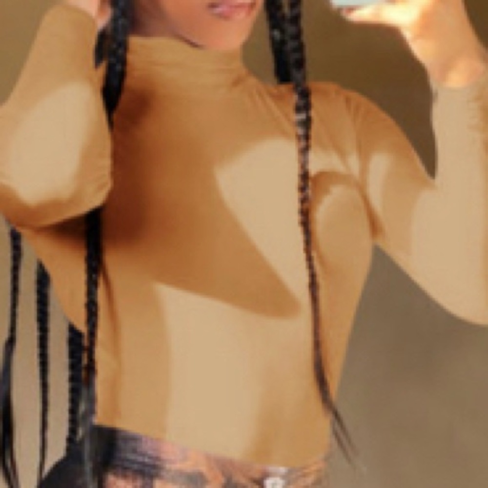 Crop TurtleNeck